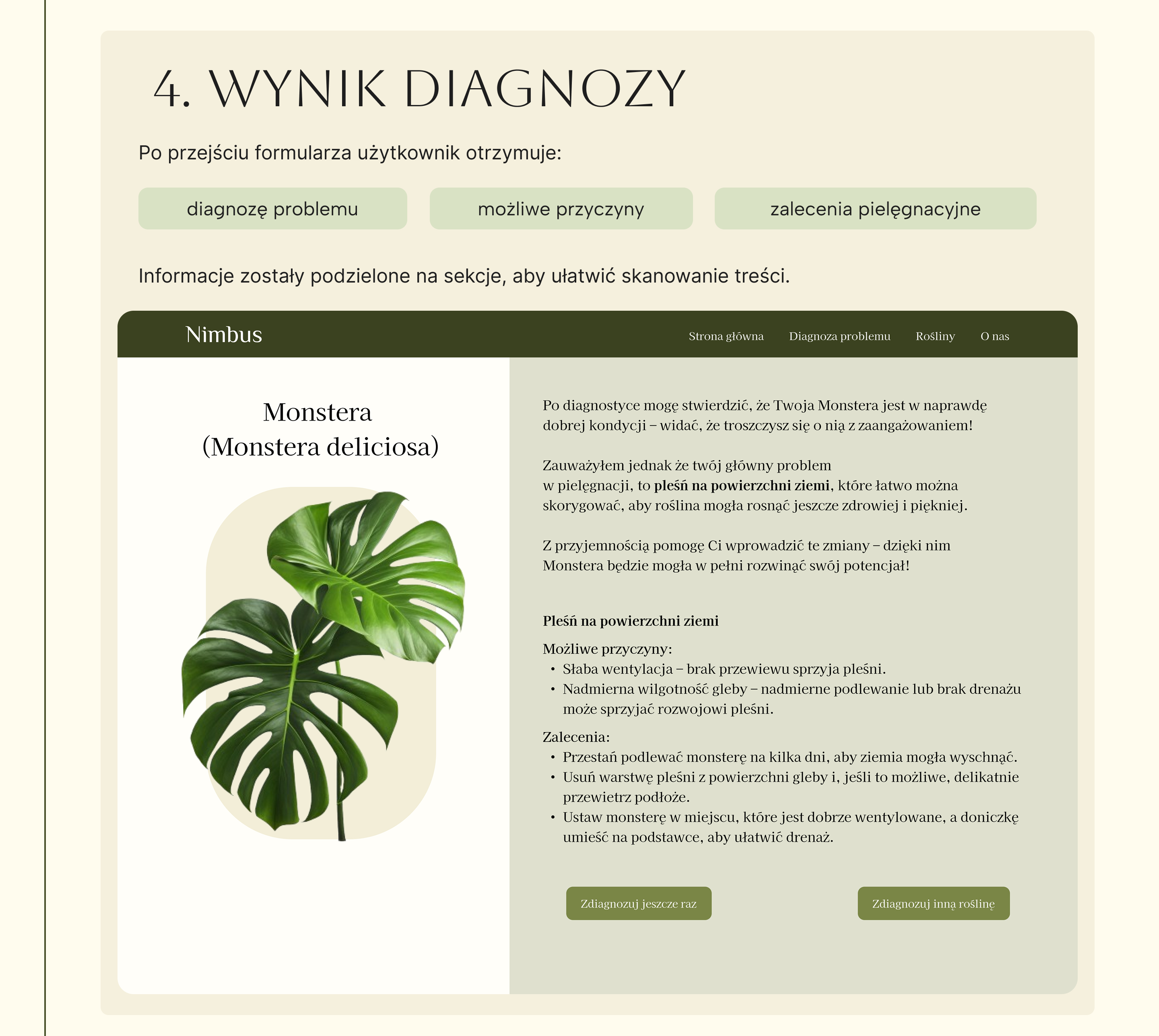 Nimbus - Architektura informacji